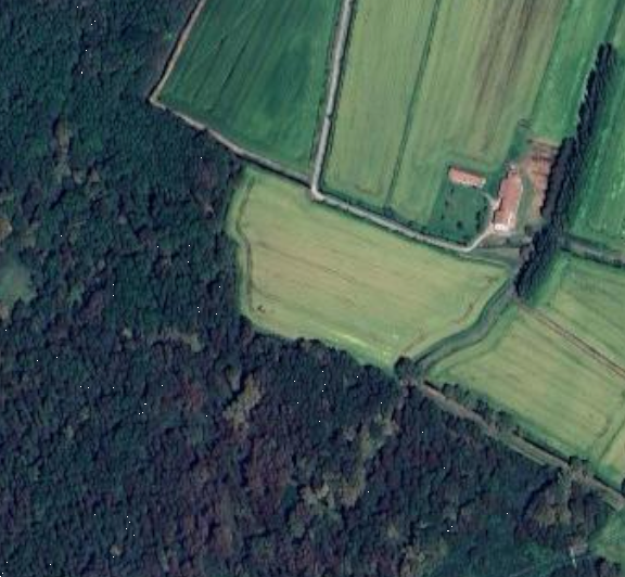 immagine annuncio 8 di 13