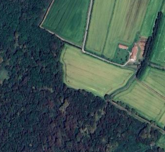 immagine annuncio 9 di 13