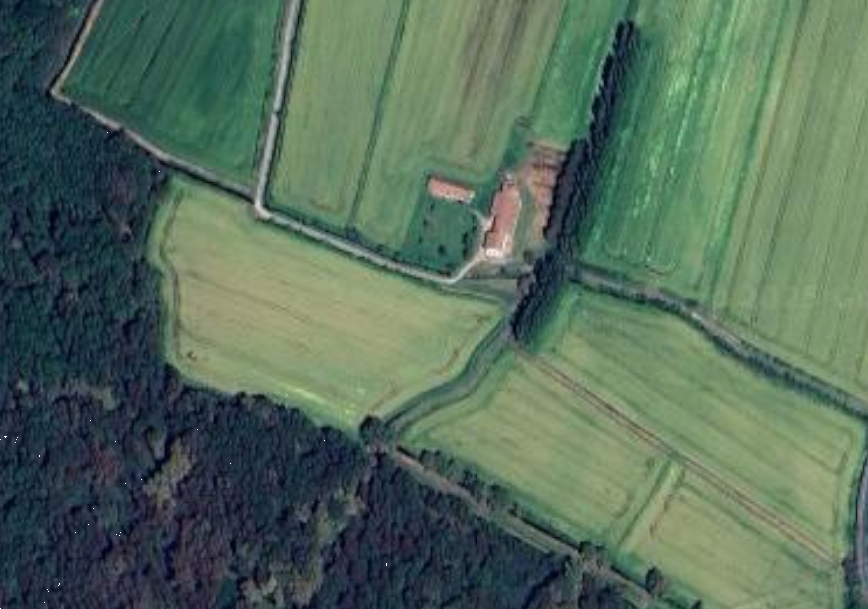 immagine annuncio 11 di 13