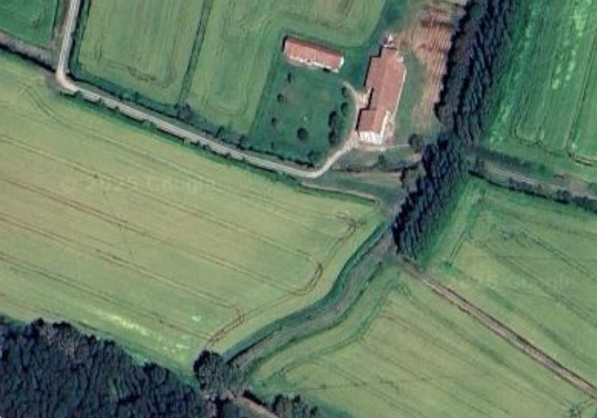 immagine annuncio 12 di 13