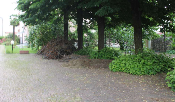 immagine annuncio 2 di 13