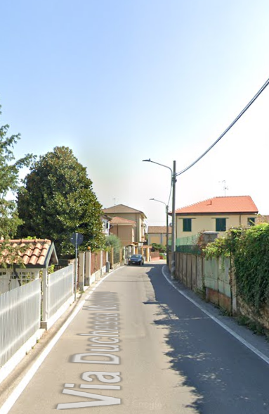 immagine annuncio 9 di 13