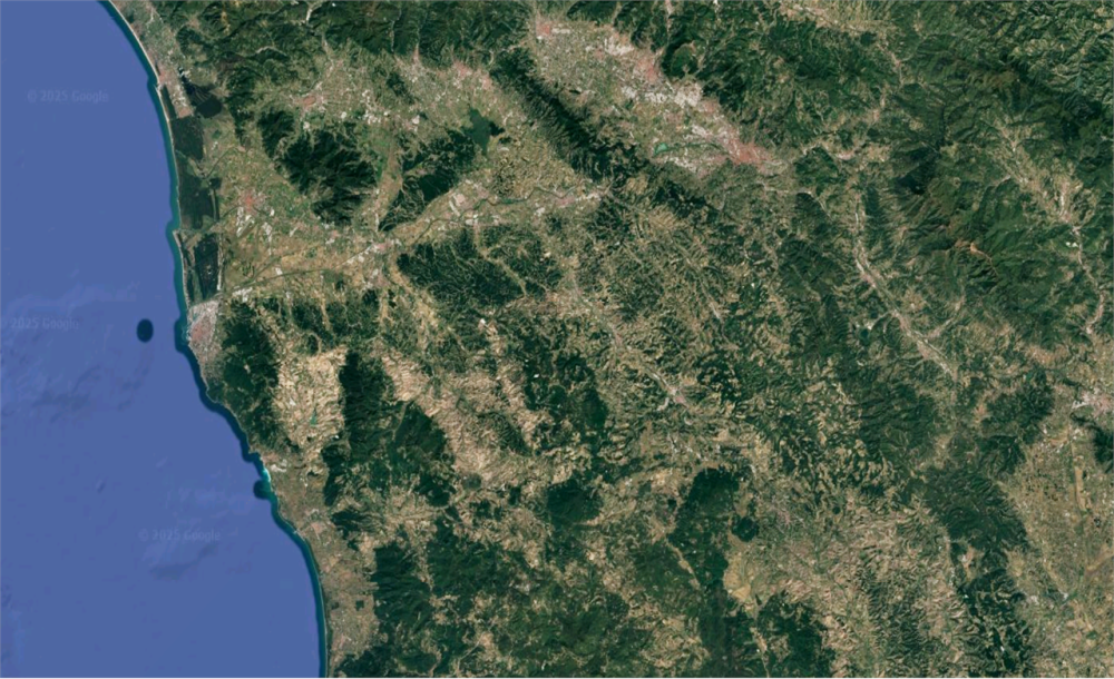 immagine annuncio 4 di 8