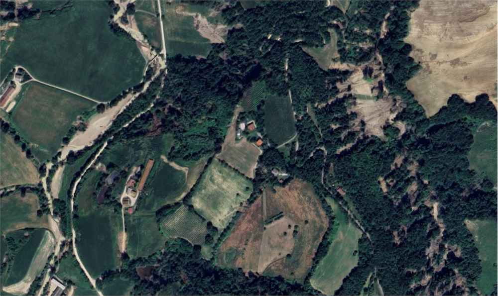 immagine annuncio 2 di 13