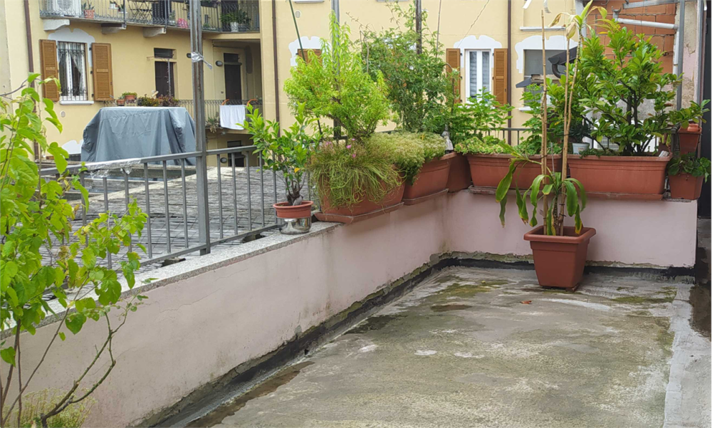 immagine annuncio 1 di 13