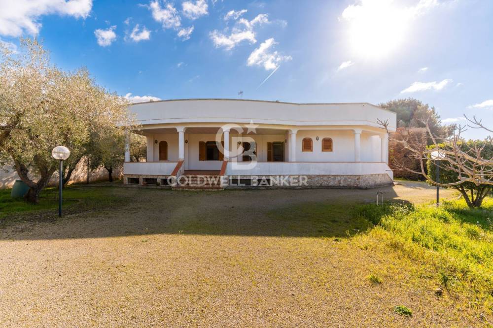 immagine annuncio 10 di 13