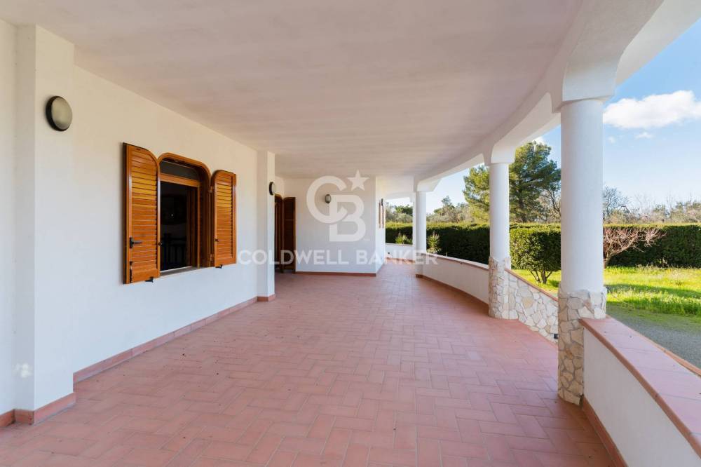 immagine annuncio 12 di 13