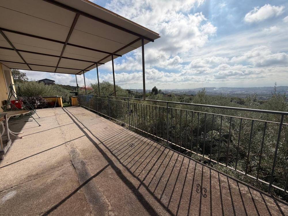 immagine annuncio 2 di 13