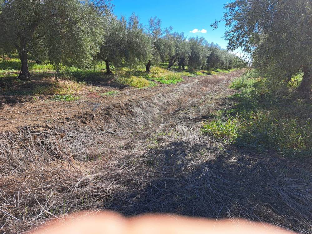 immagine annuncio 6 di 13