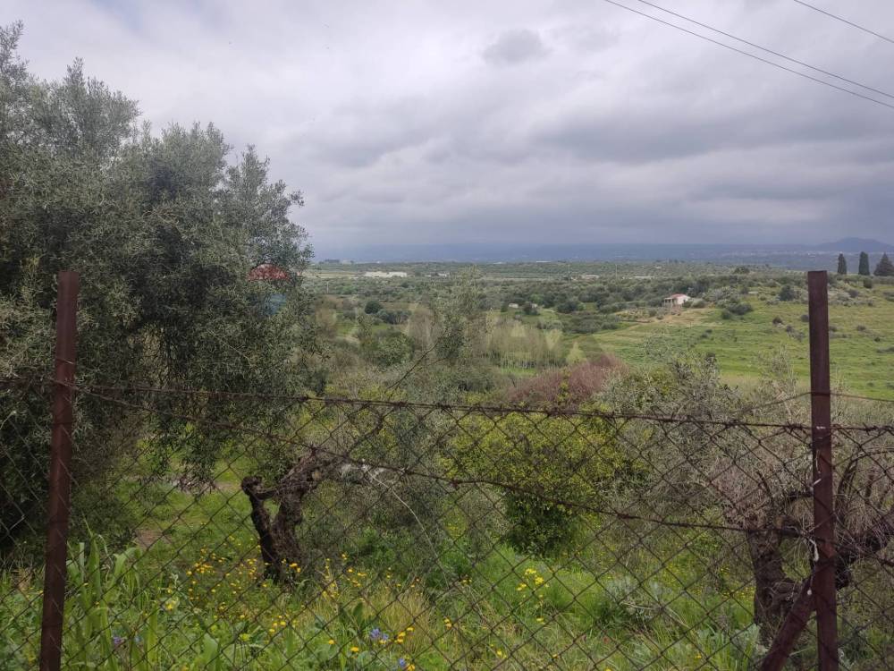 immagine annuncio 8 di 13