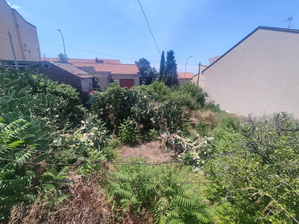 immagine annuncio 6 di 13