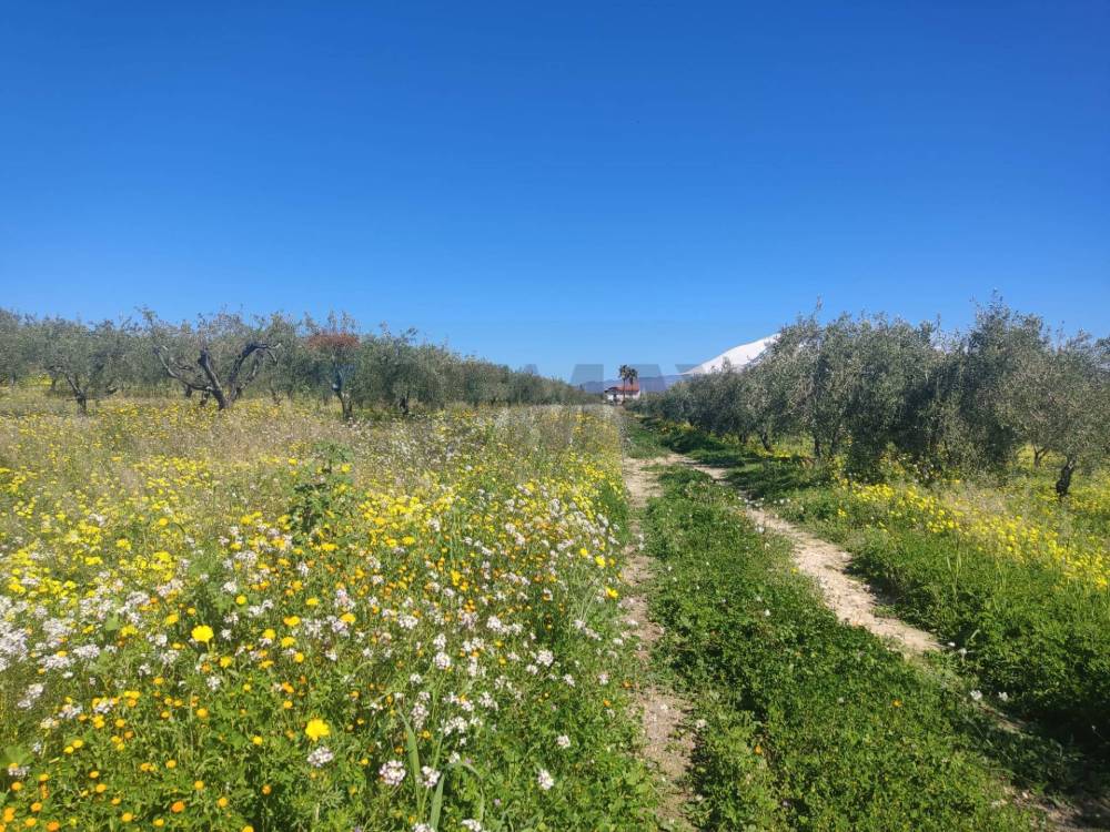 immagine annuncio 10 di 13