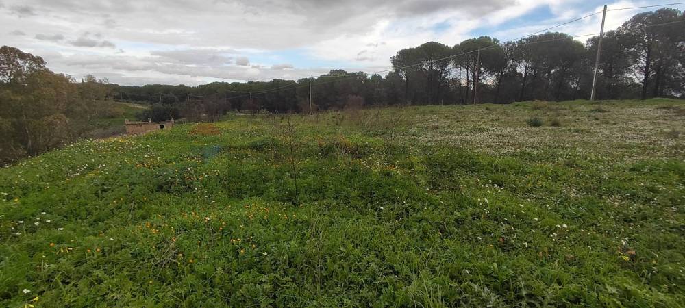 immagine annuncio 10 di 13