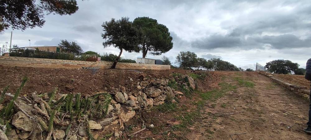 immagine annuncio 4 di 6