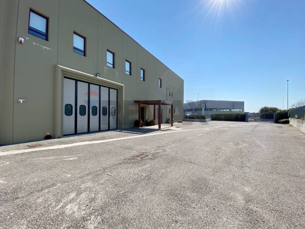 immagine annuncio 3 di 13