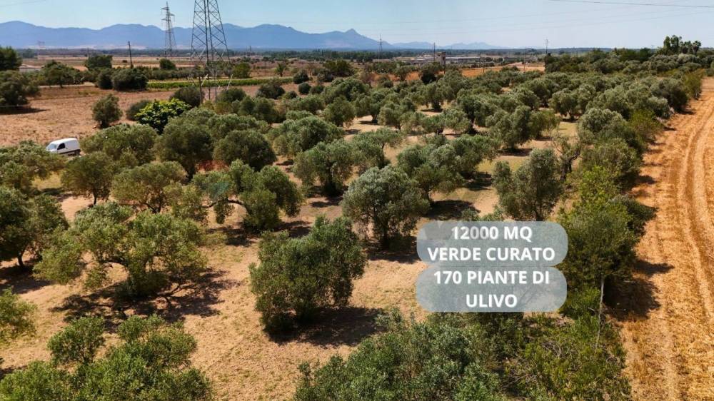 immagine annuncio 2 di 13