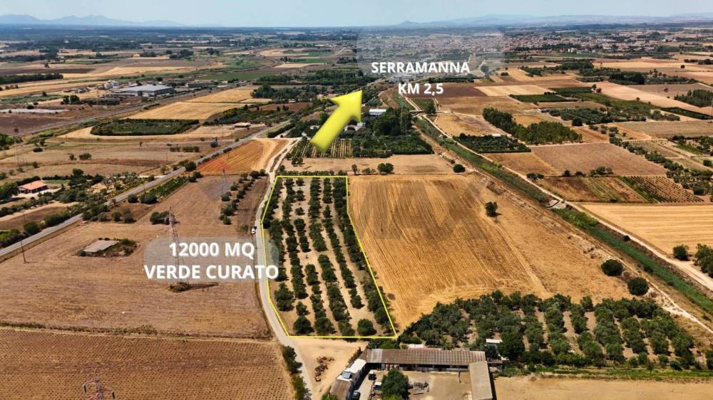 immagine annuncio 3 di 13