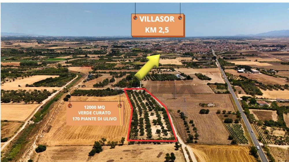 immagine annuncio 4 di 13