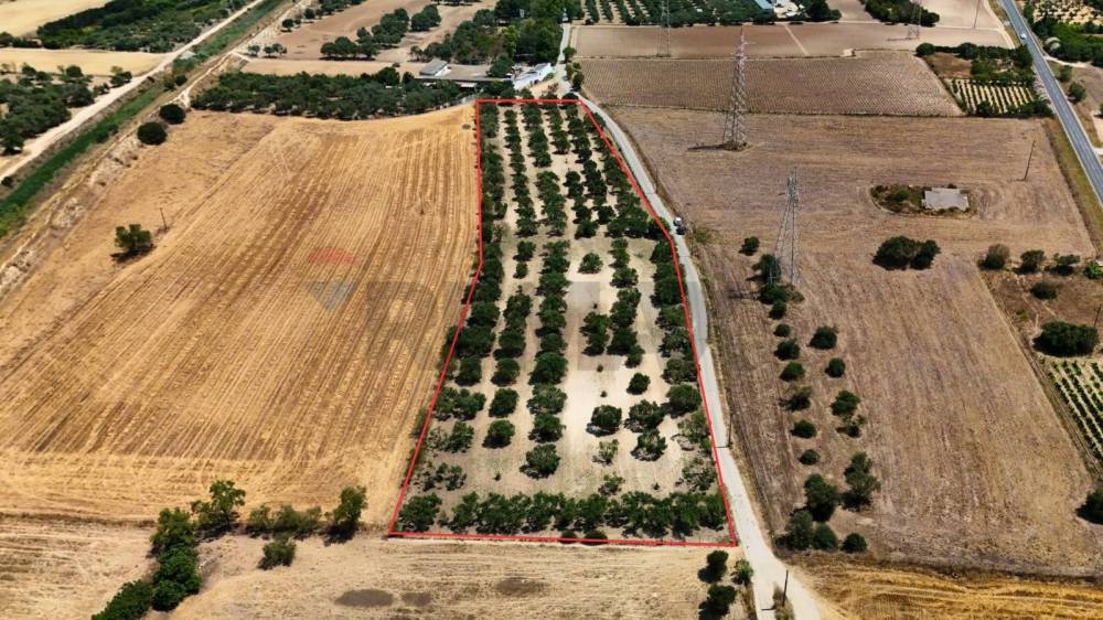 immagine annuncio 6 di 13