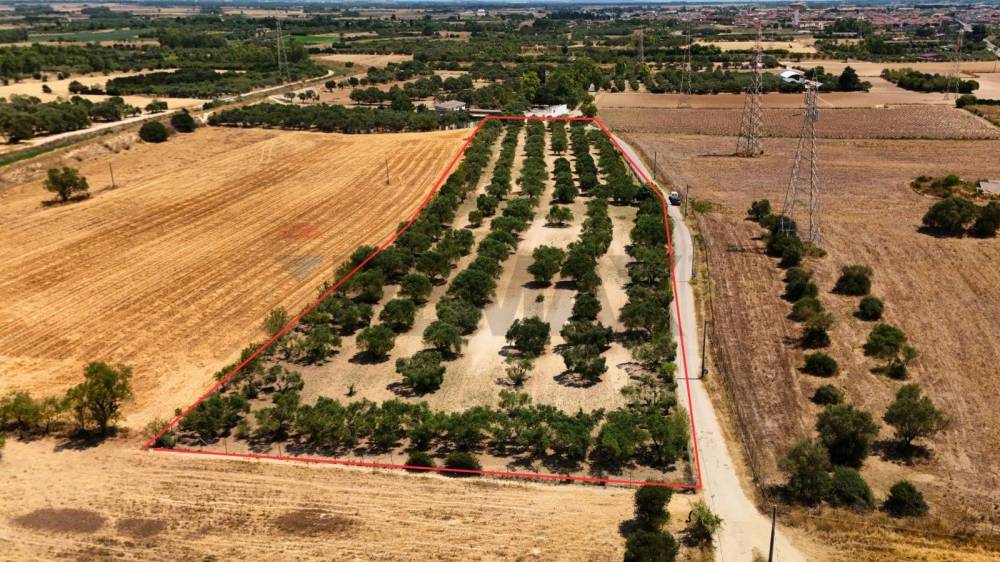 immagine annuncio 7 di 13