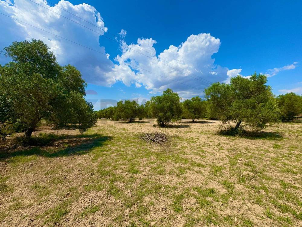 immagine annuncio 8 di 13