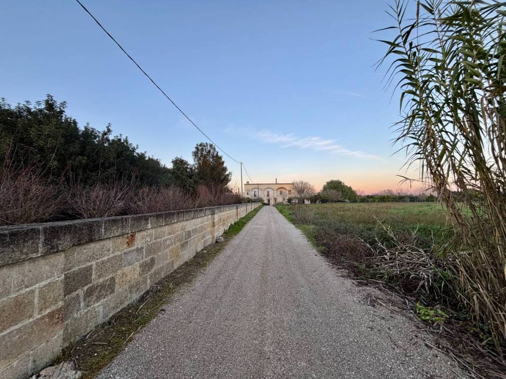 immagine annuncio 1 di 13