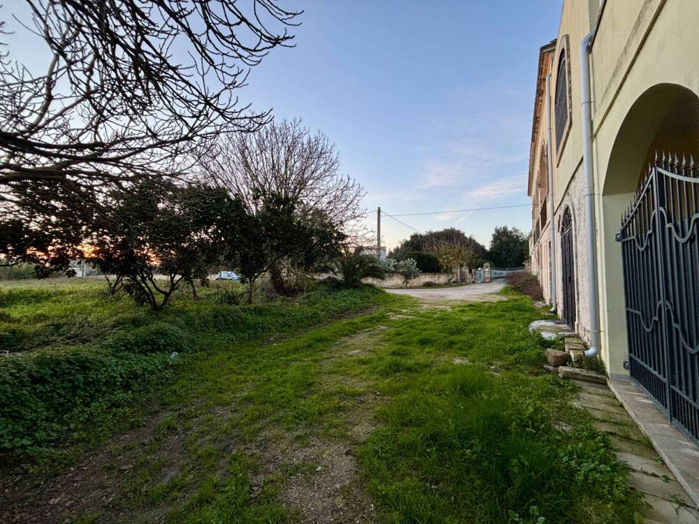 immagine annuncio 4 di 13