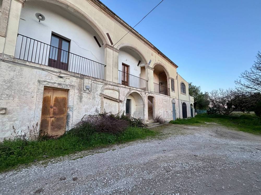 immagine annuncio 3 di 13