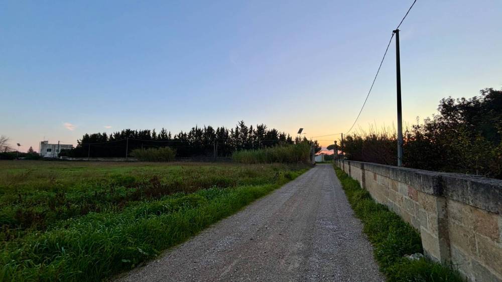 immagine annuncio 7 di 13