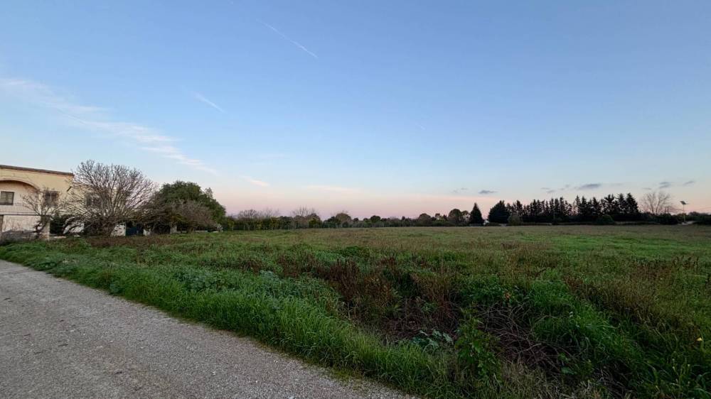 immagine annuncio 8 di 13