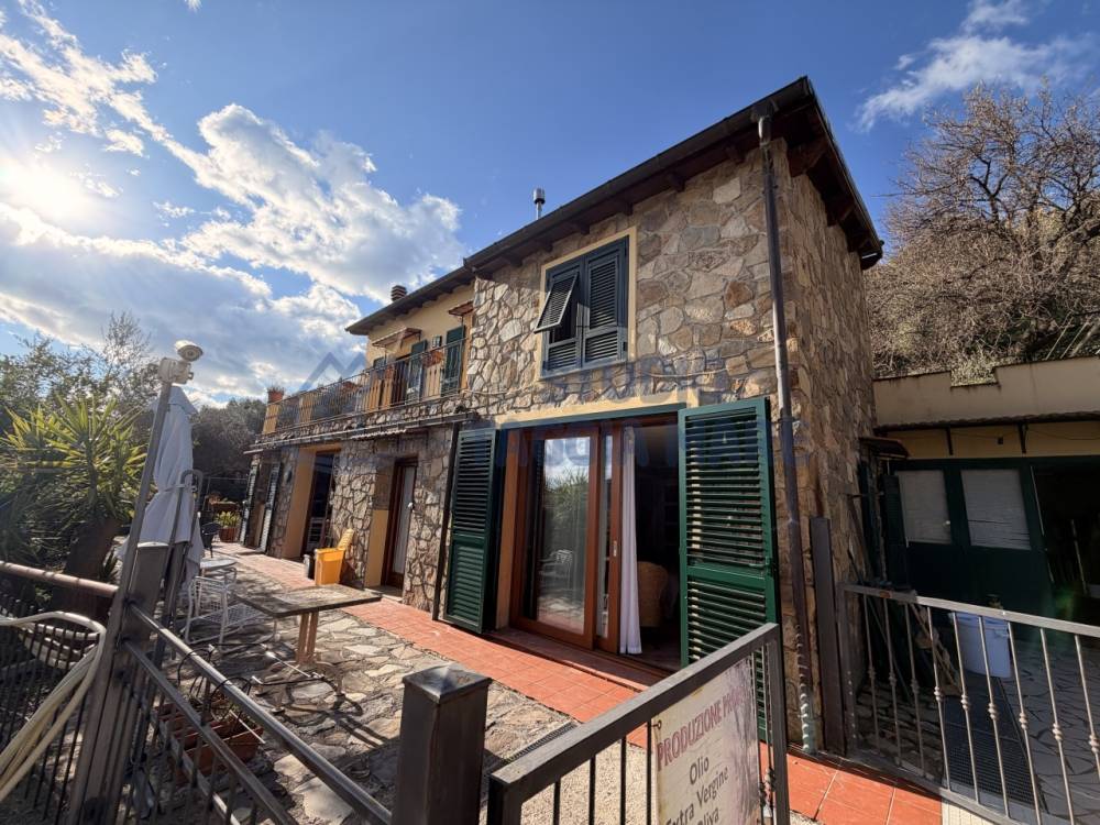 immagine annuncio 1 di 13