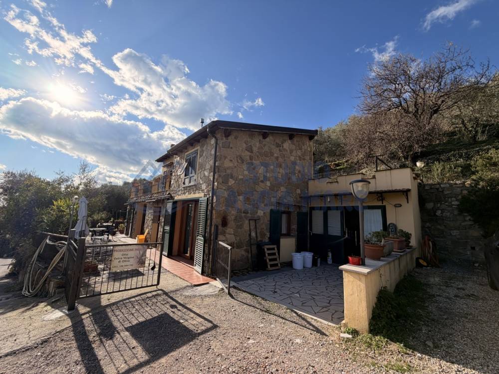 immagine annuncio 3 di 13