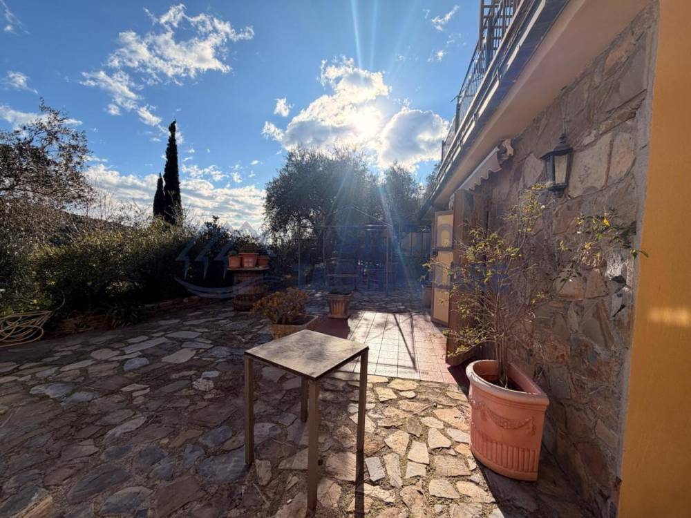 immagine annuncio 3 di 12