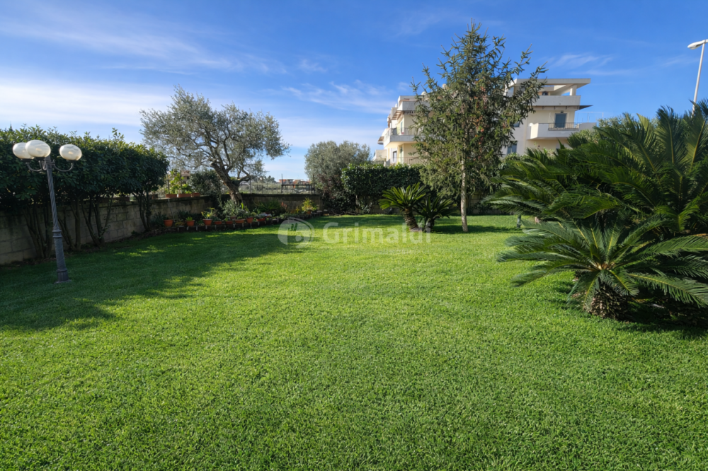 immagine annuncio 11 di 13