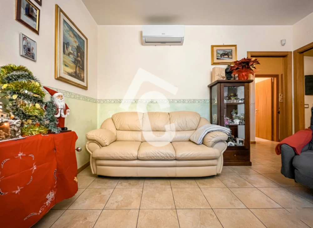 immagine annuncio 6 di 13