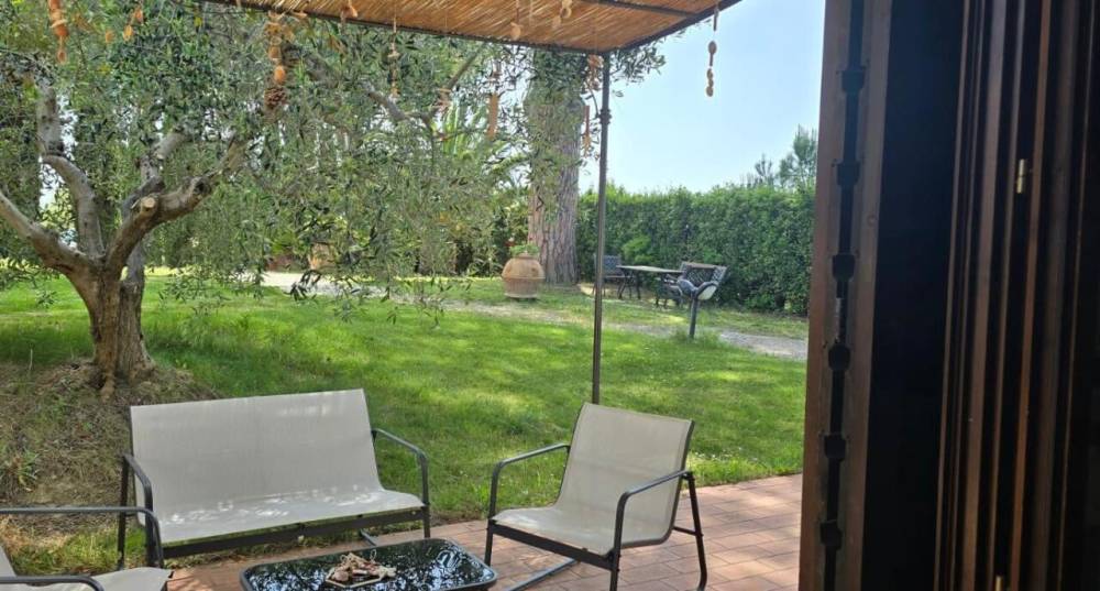 immagine annuncio 3 di 6