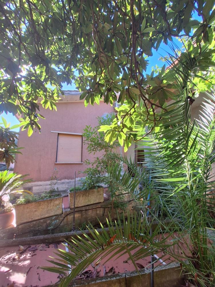 immagine annuncio 1 di 7