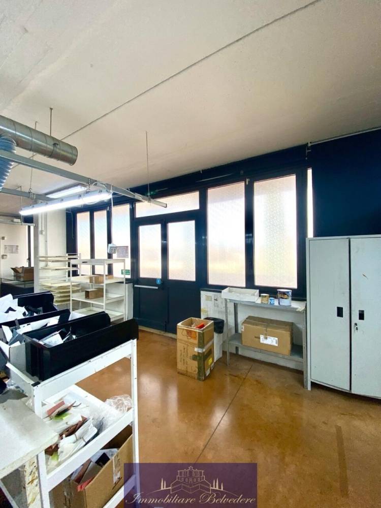 immagine annuncio 4 di 13