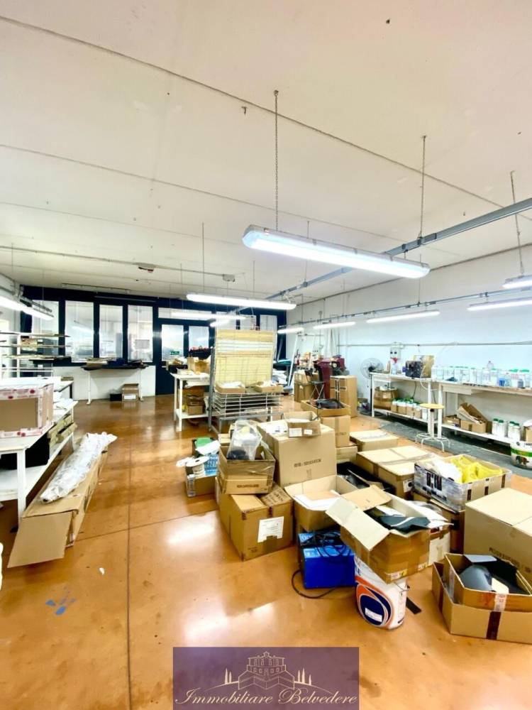 immagine annuncio 9 di 13