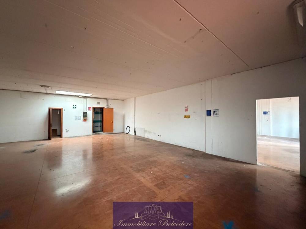 immagine annuncio 9 di 13