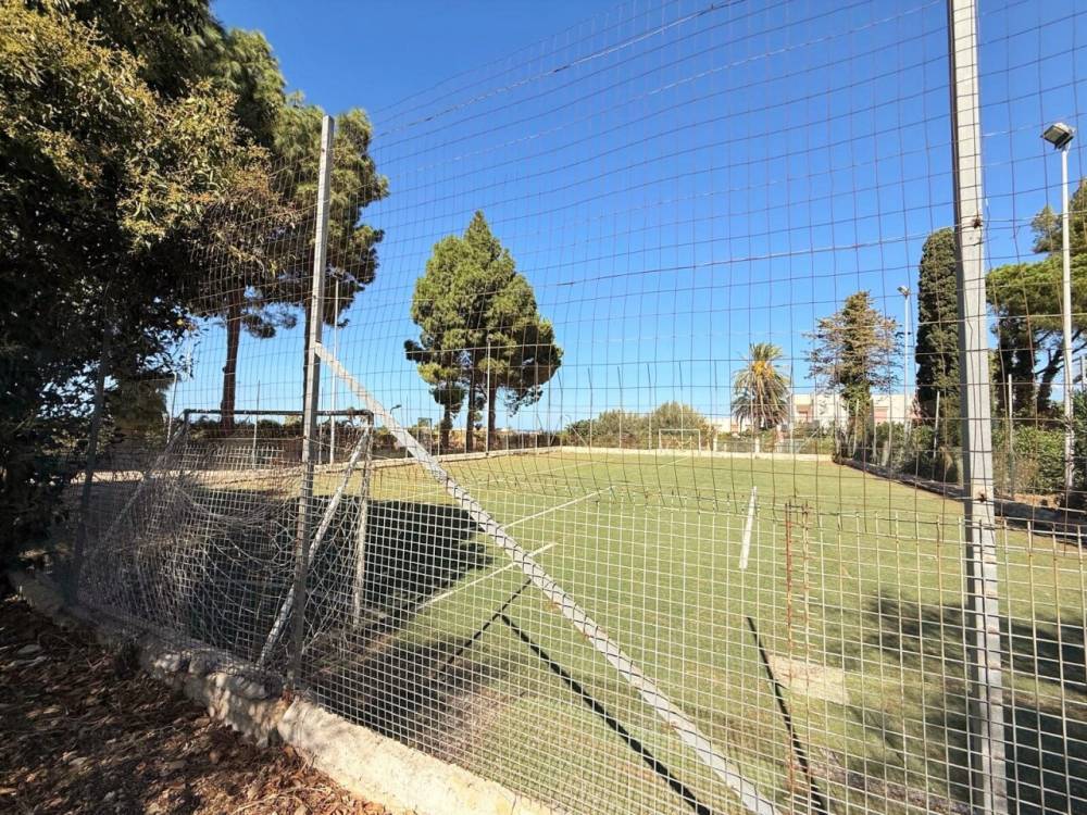 immagine annuncio 9 di 13