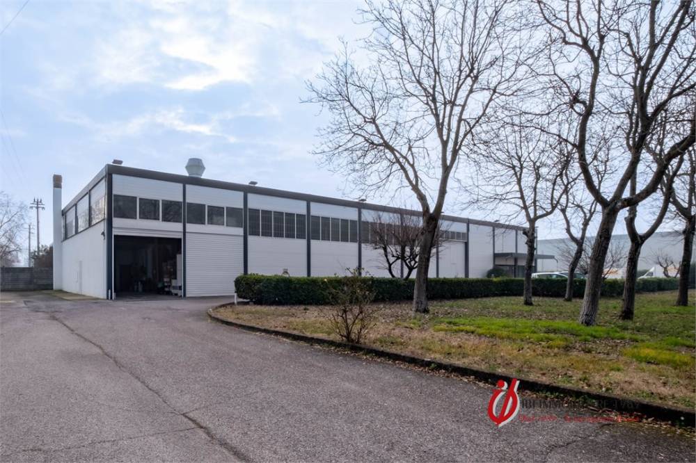 immagine annuncio 1 di 9