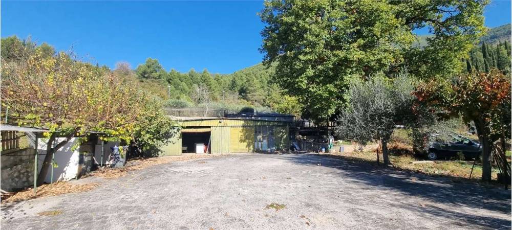 immagine annuncio 2 di 13