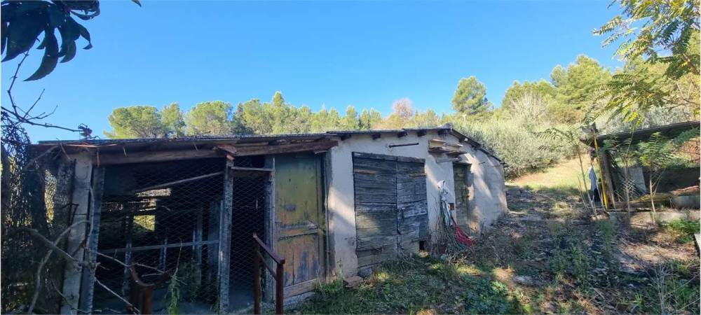 immagine annuncio 3 di 13