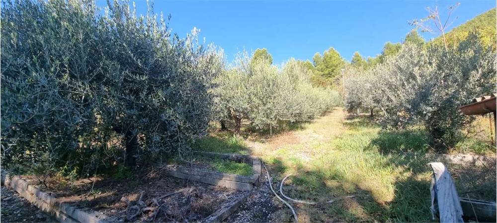 immagine annuncio 4 di 13