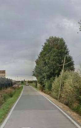 immagine annuncio 9 di 13