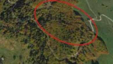 immagine annuncio 7 di 13