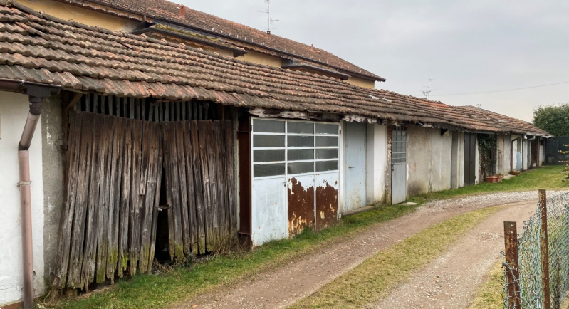 immagine annuncio 2 di 13