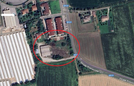 immagine annuncio 2 di 10