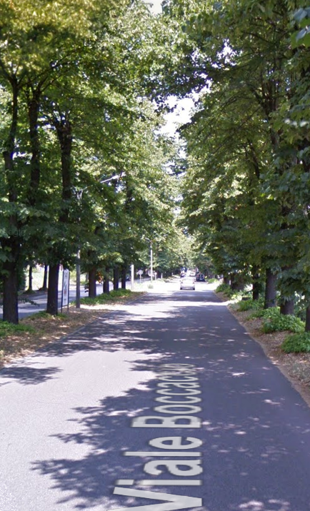 immagine annuncio 9 di 12